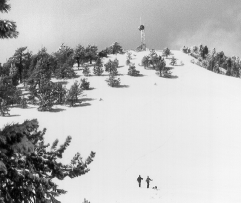 Upper meadow below Mount Pinos